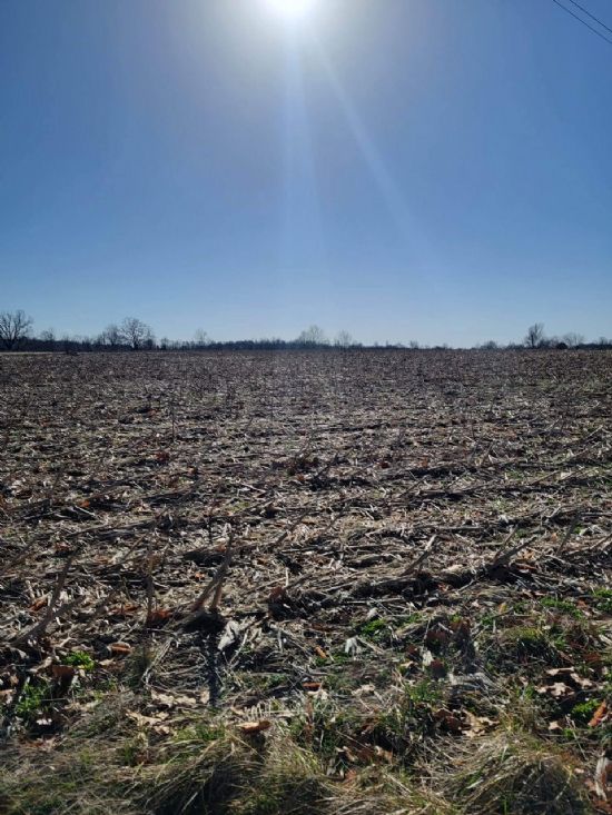 Kentucky Land Company